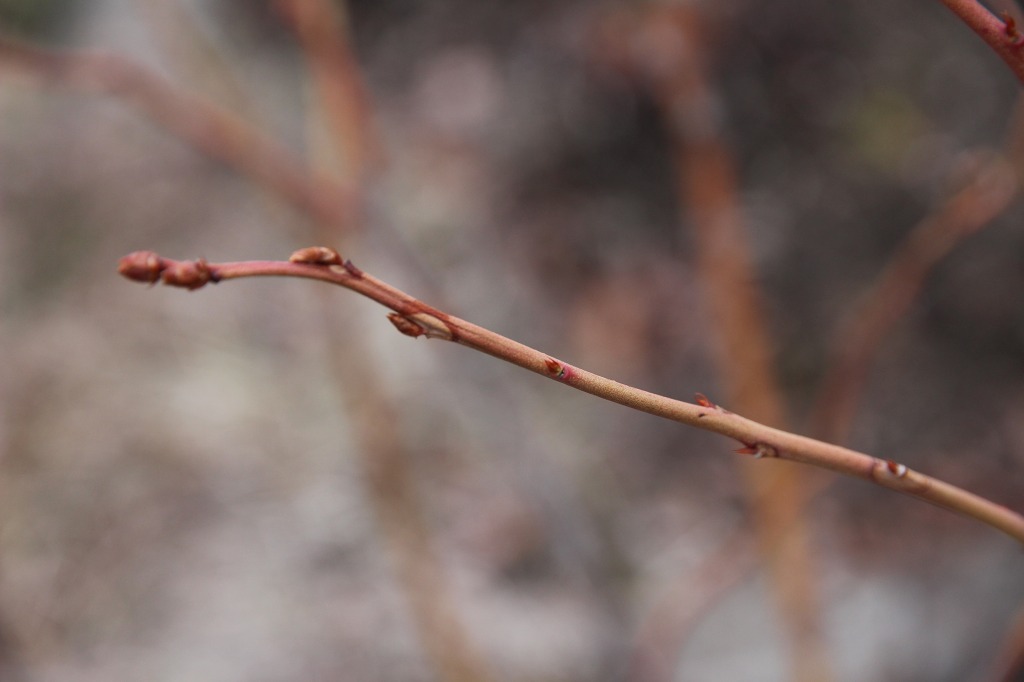 ファイル 89-4.jpg