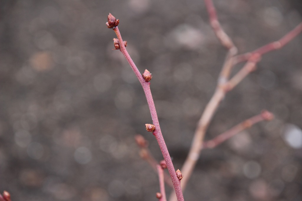 ファイル 89-5.jpg