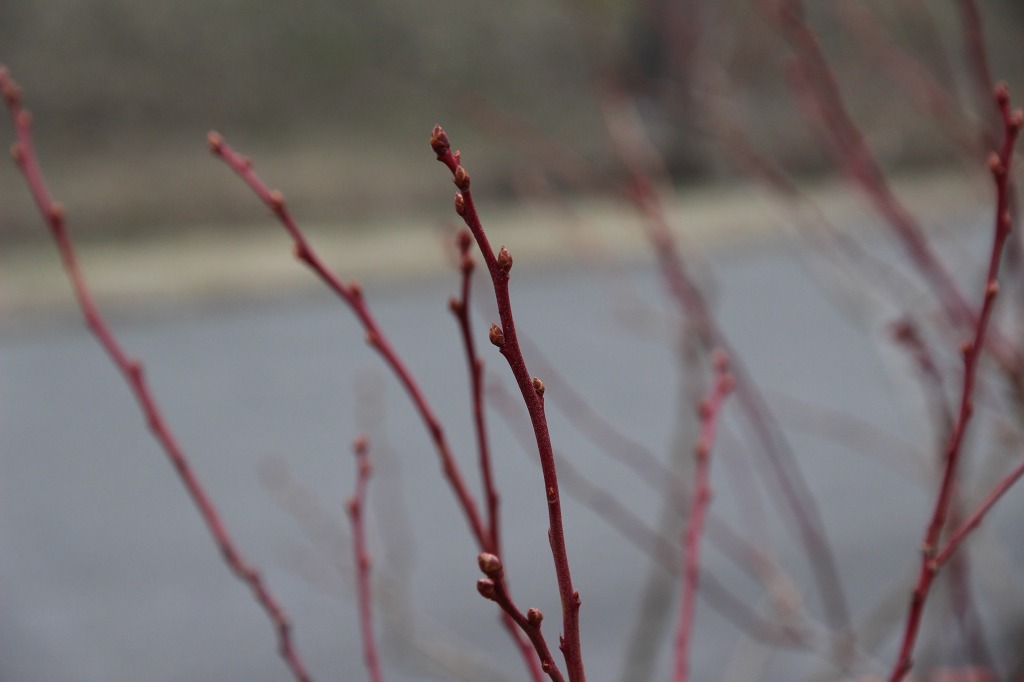 ファイル 89-6.jpg