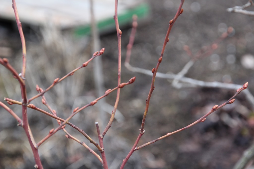 ファイル 89-7.jpg