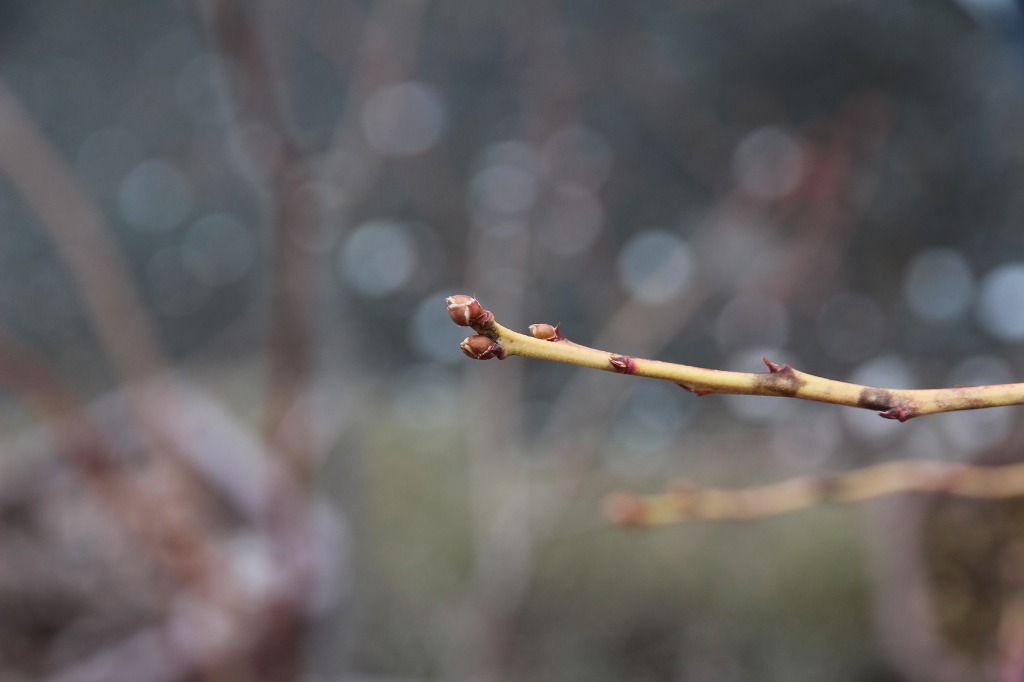 ファイル 89-8.jpg