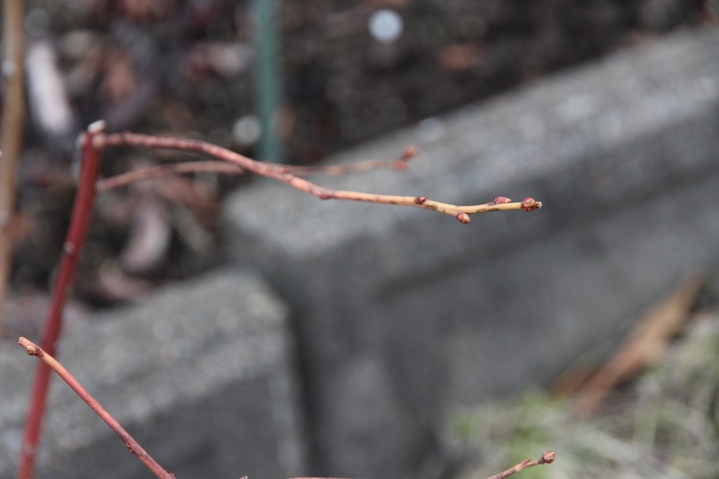 ファイル 89-9.jpg