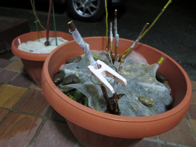 ファイル 92-2.jpg