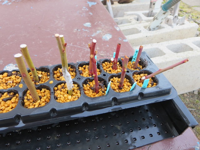 ファイル 92-4.jpg