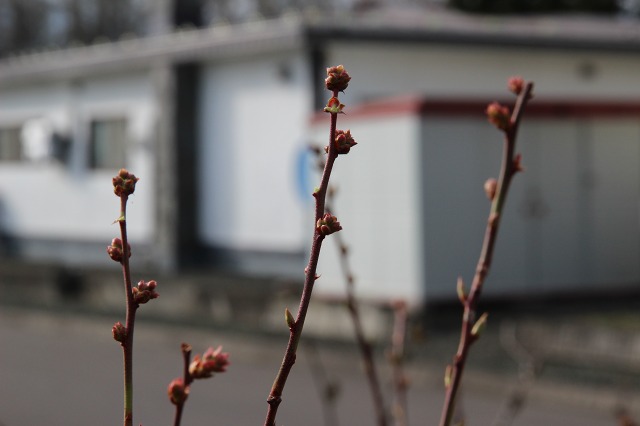 ファイル 93-2.jpg