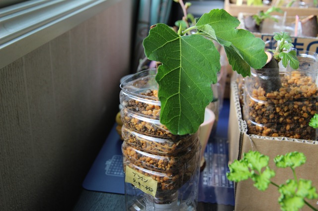 ファイル 94-1.jpg