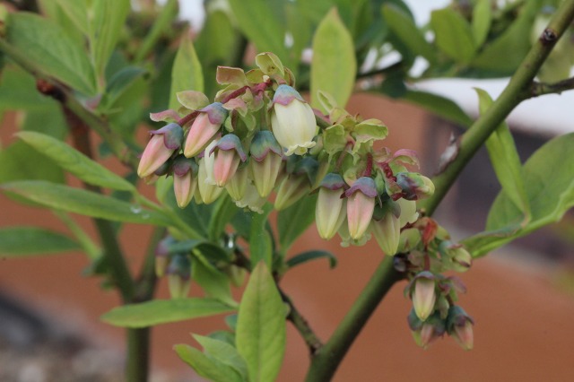 ファイル 98-2.jpg