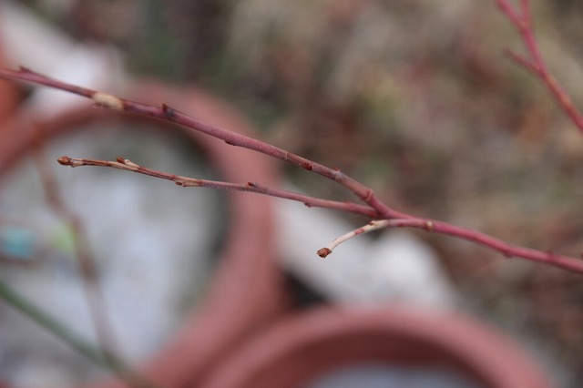 ファイル 98-4.jpg