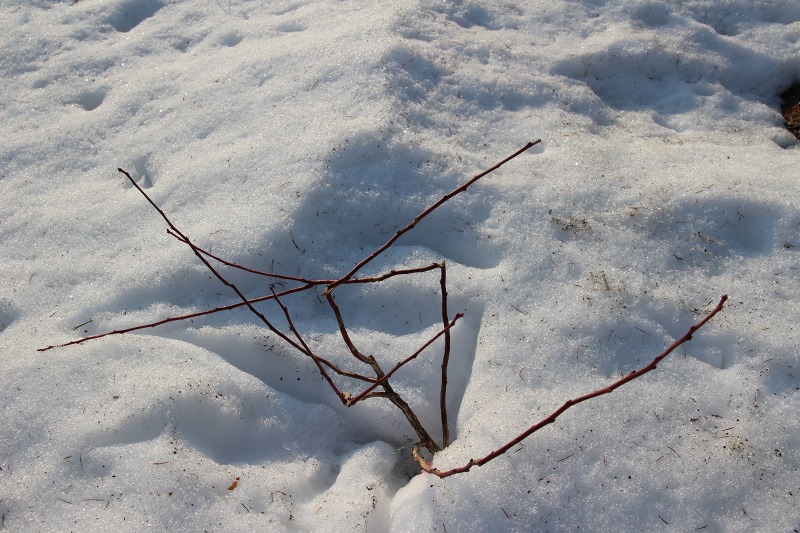 ファイル 30-4.jpg