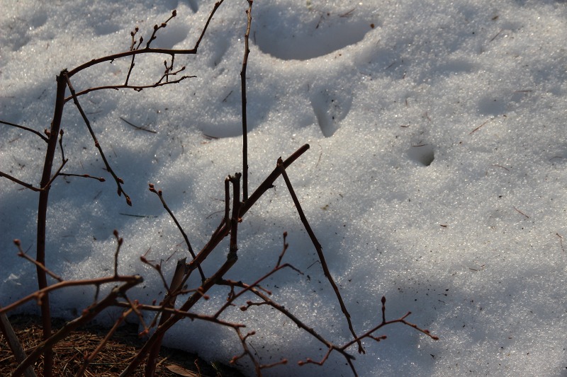 ファイル 30-5.jpg