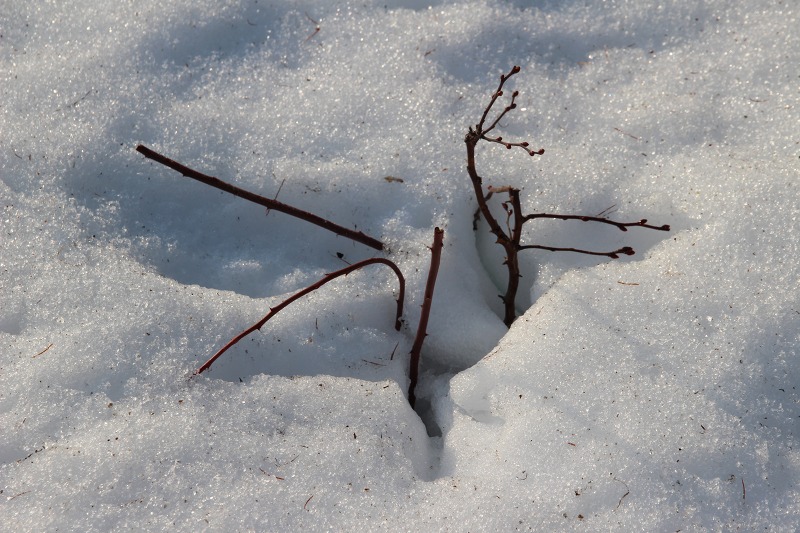 ファイル 30-6.jpg