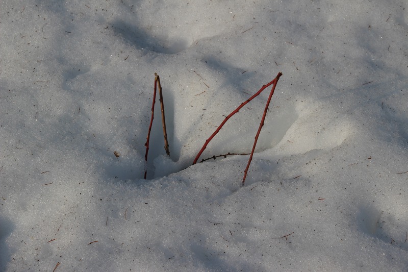 ファイル 30-7.jpg