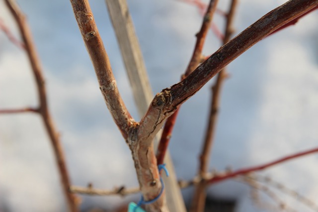 ファイル 30-8.jpg