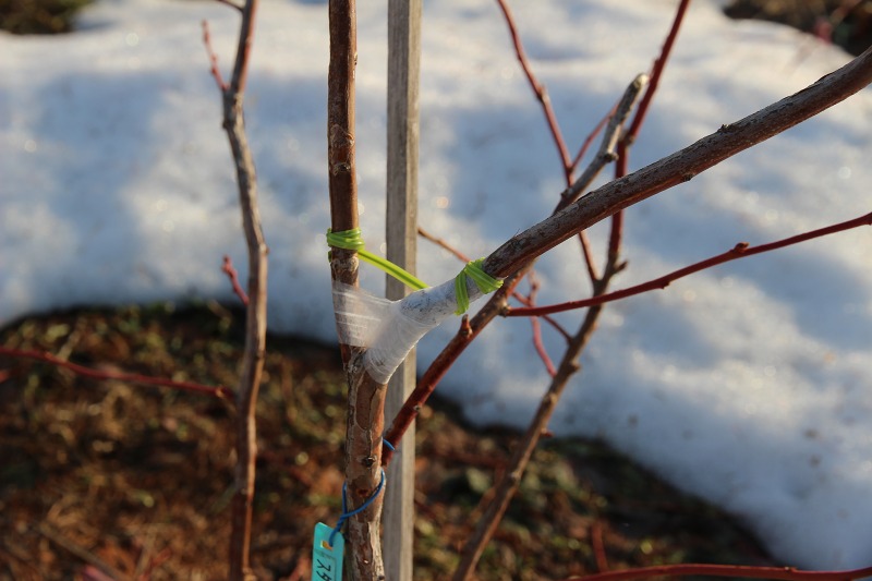 ファイル 30-9.jpg