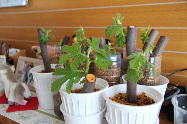 ファイル 32-5.jpg