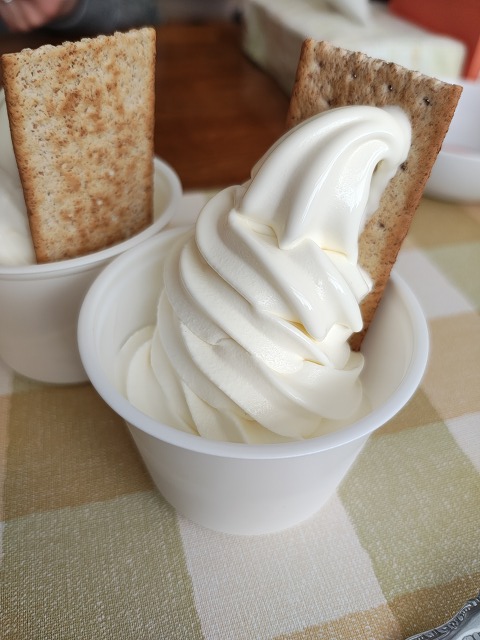 ファイル 33-9.jpg