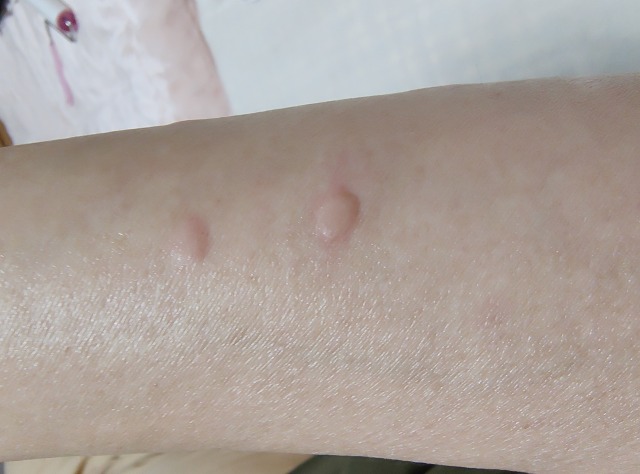 ファイル 5-7.jpg