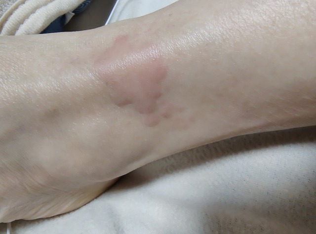 ファイル 5-8.jpg