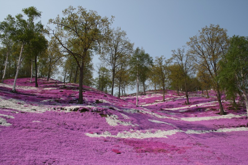 ファイル 100-2.jpg