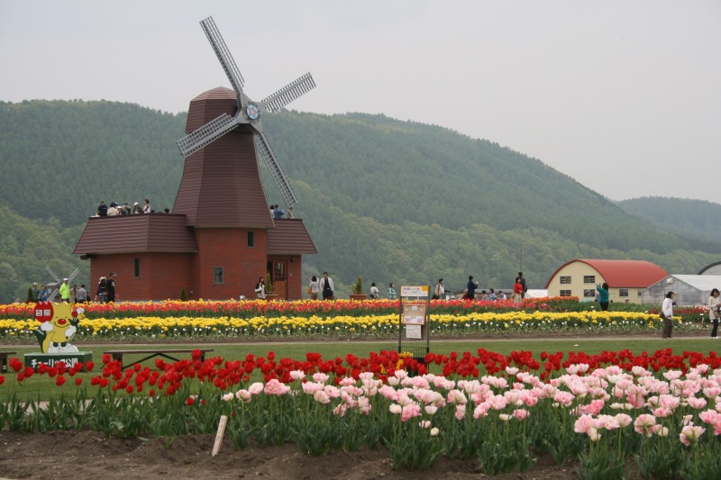 ファイル 101-1.jpg