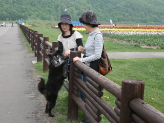 ファイル 101-3.jpg