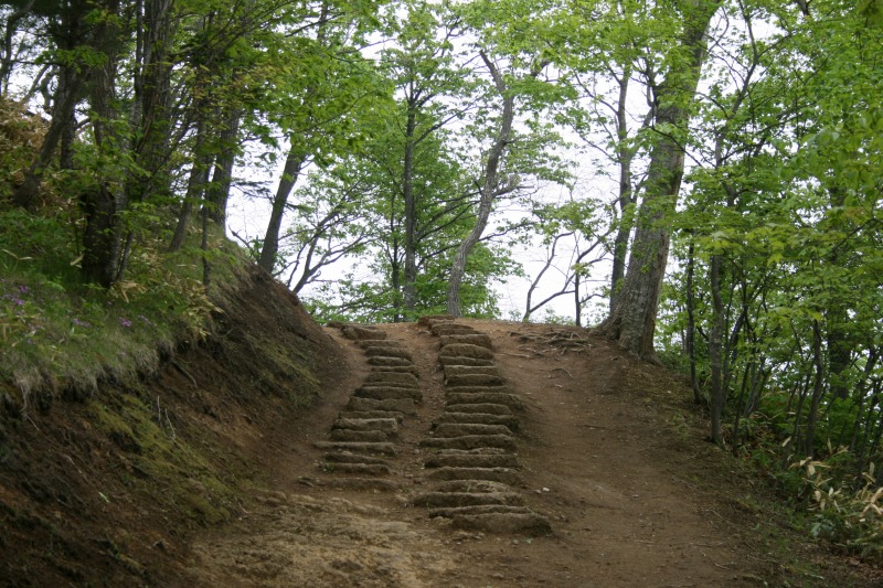 ファイル 102-1.jpg