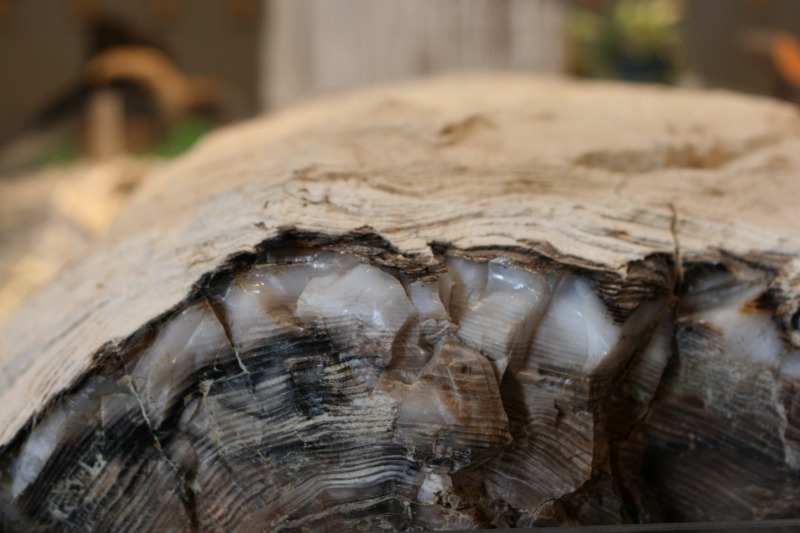 ファイル 103-2.jpg