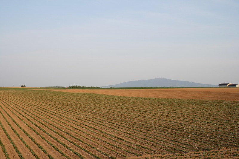 ファイル 104-1.jpg