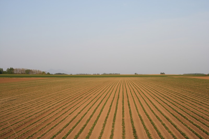 ファイル 104-2.jpg