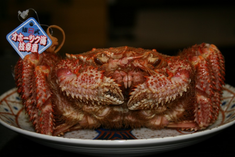 ファイル 105-1.jpg