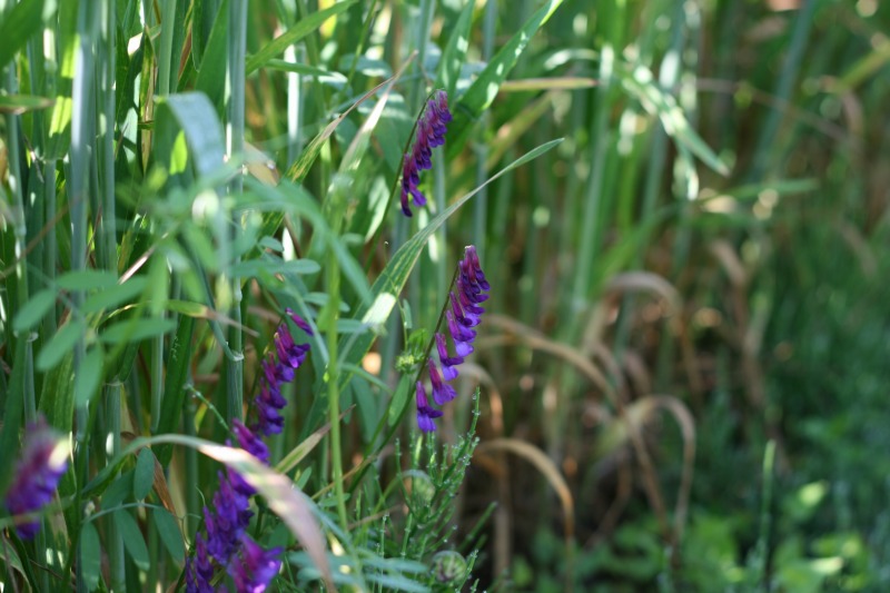 ファイル 106-3.jpg