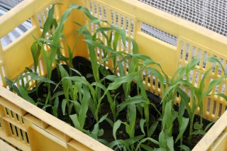 ファイル 108-1.jpg