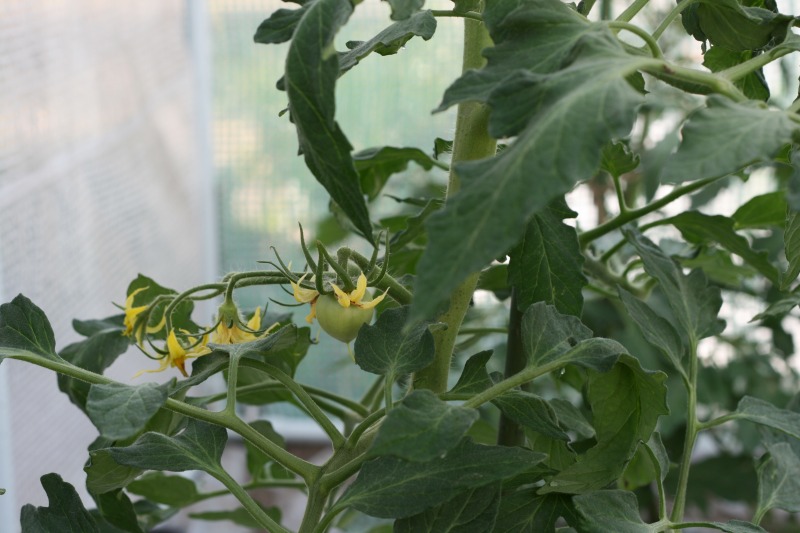 ファイル 108-3.jpg