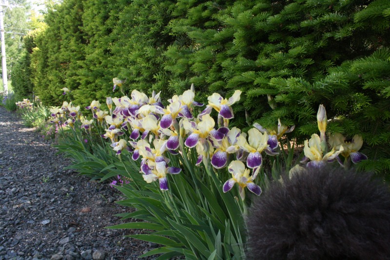 ファイル 109-1.jpg