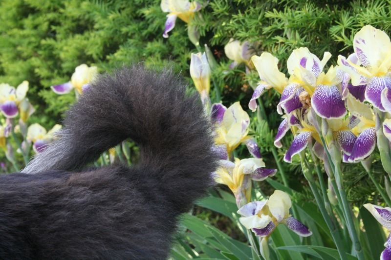 ファイル 109-2.jpg