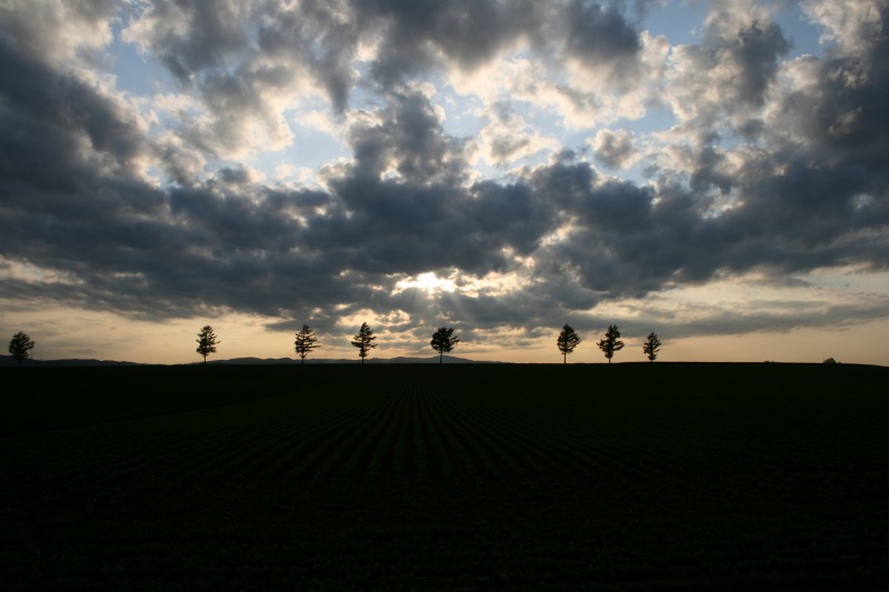 ファイル 109-3.jpg