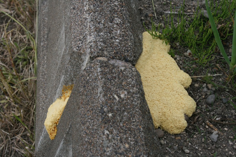 ファイル 110-1.jpg