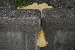 ファイル 110-2.jpg