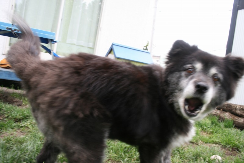 ファイル 110-4.jpg