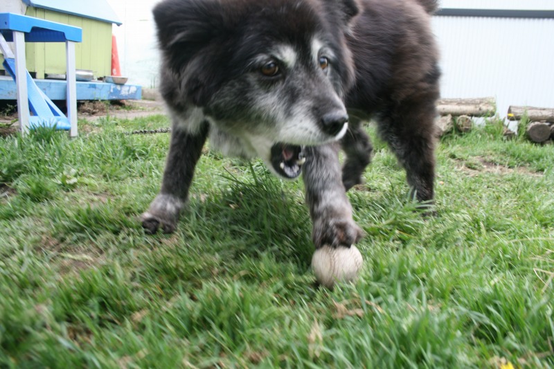 ファイル 110-5.jpg