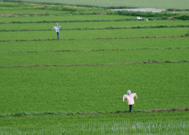 ファイル 111-4.jpg