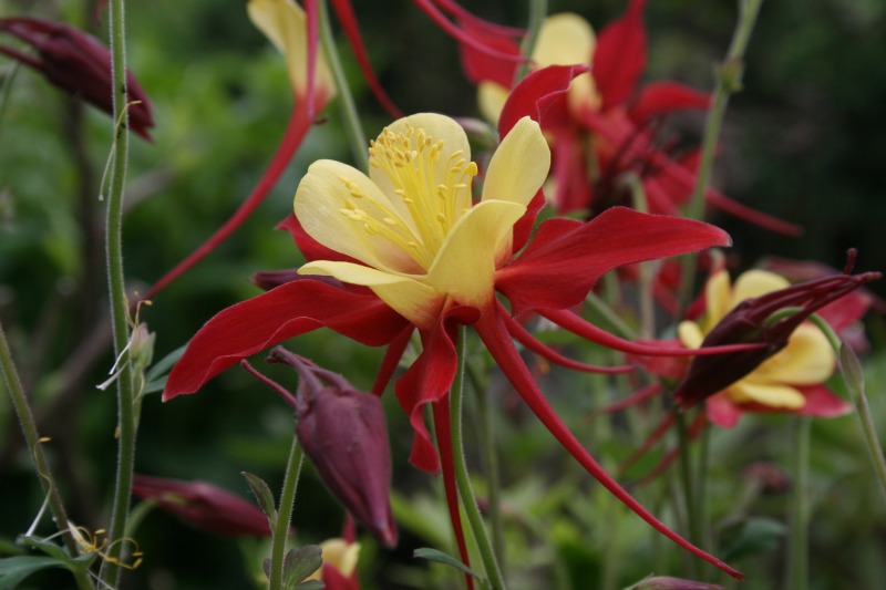 ファイル 113-3.jpg