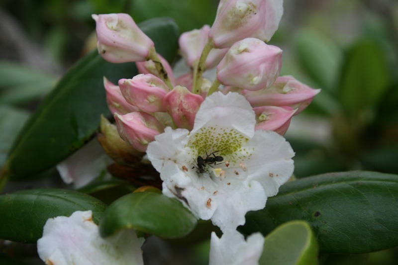 ファイル 113-5.jpg