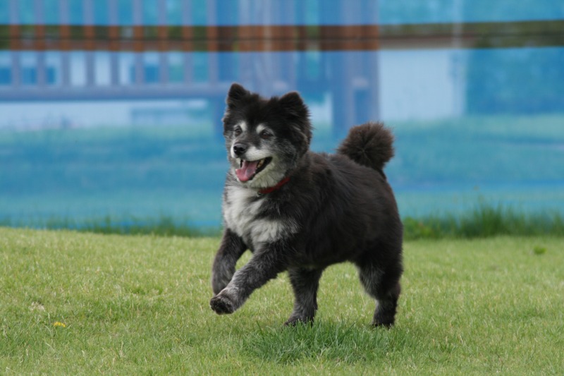 ファイル 114-1.jpg