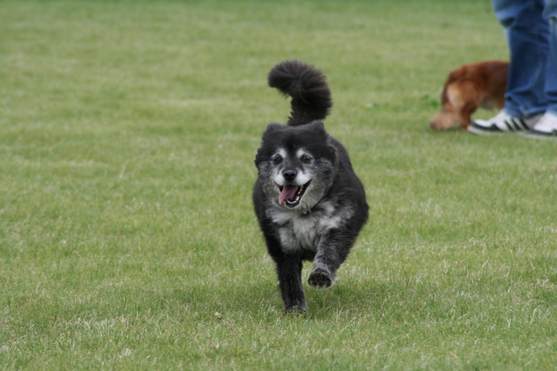 ファイル 114-2.jpg