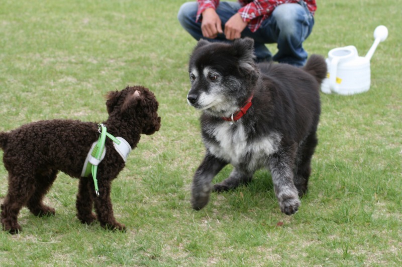 ファイル 114-3.jpg