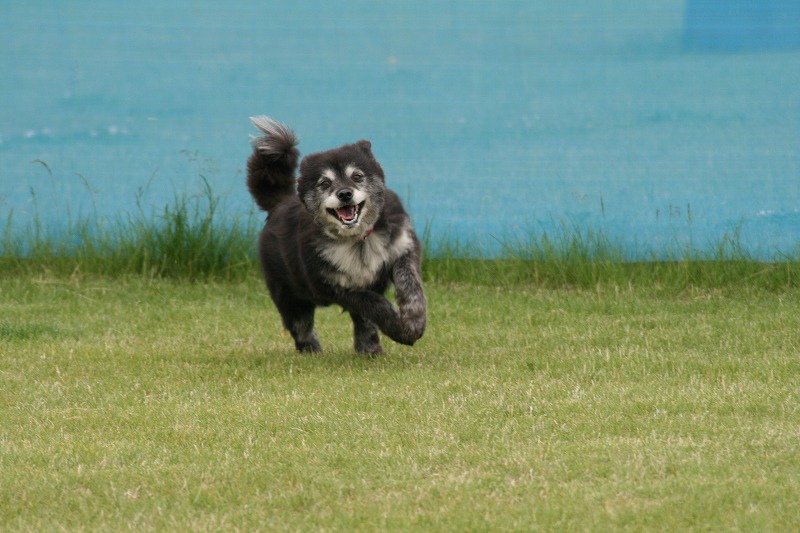 ファイル 114-4.jpg