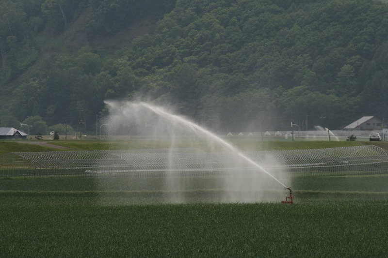 ファイル 116-1.jpg