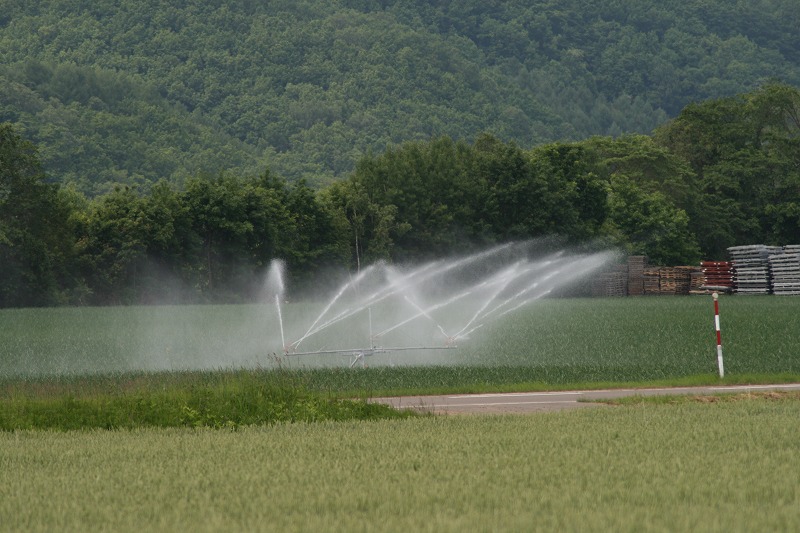 ファイル 116-2.jpg