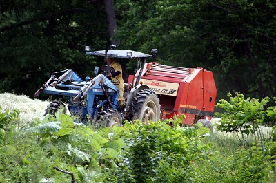 ファイル 116-3.jpg